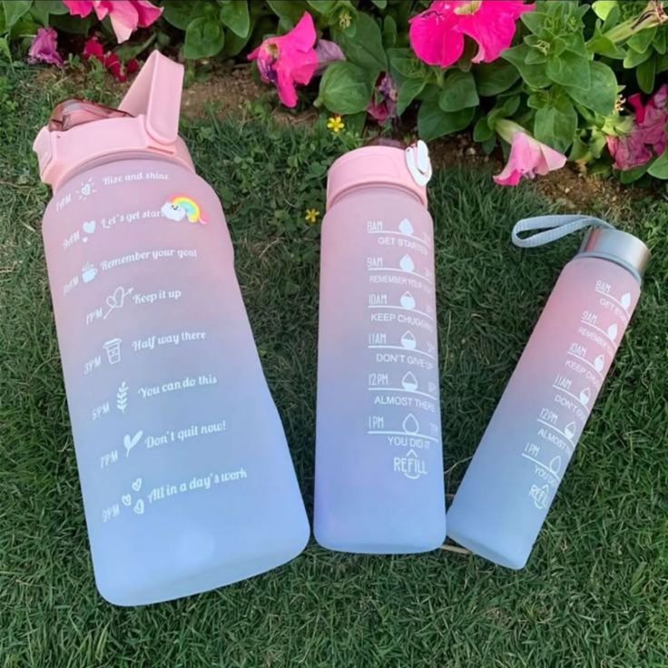03 Piece Motivational Water Bottle Set